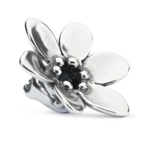 Trollbeads Beads Ciondoli Fantasia - Troll della Saggezza TAGPE-00063 - immagine 2